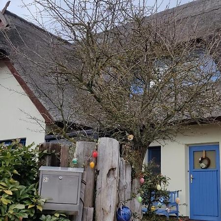 Ferienwohnung Im Rohrdachhaus Wustrow  Exterior foto